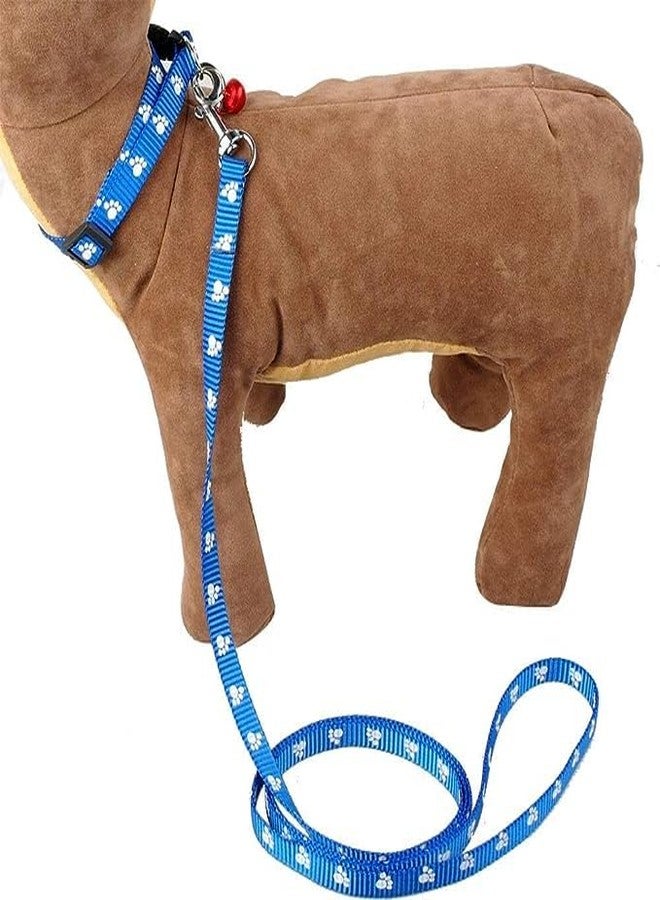 Pups&Pets طقم طوق ومقود من النايلون مطبوع قابل للتعديل من Pups&Pets، للاستخدام اليومي في المشي والتدريب، مقاس 10 مم - أزرق - Image 4